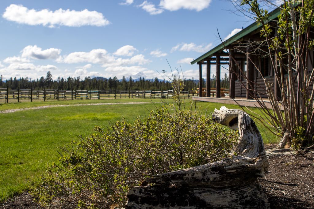 Vandevert Ranch Sunriver Oregon Log Home Views